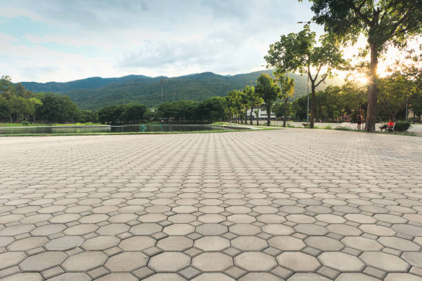 Best Concrete Paver Driveway  in Forest City, NC